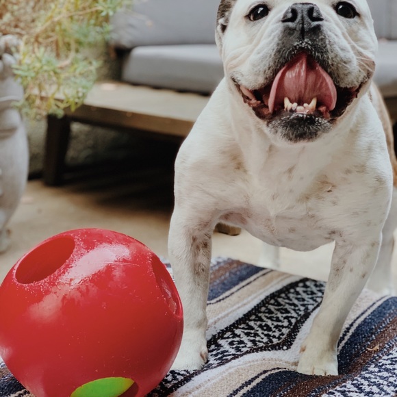 Meet your Posher, Randi - Picture 6 of 8